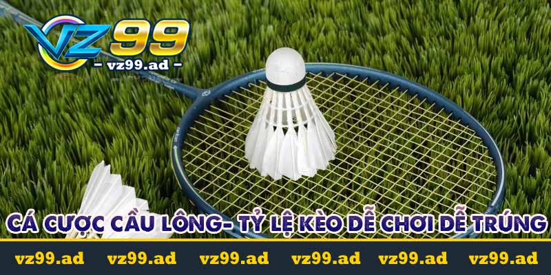 Cá cược cầu lông là gì? Tỷ lệ kèo cược dễ chơi dễ trúng 9 cá cược cầu lông là gì