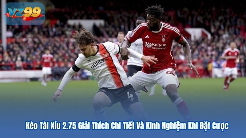 Kèo Tài Xỉu 2.75 Giải Thích Chi Tiết Và Kinh Nghiệm Khi Đặt Cược 6 Kèo Tài Xỉu 2.75 Giải Thích Chi Tiết Và Kinh Nghiệm Khi Đặt Cược