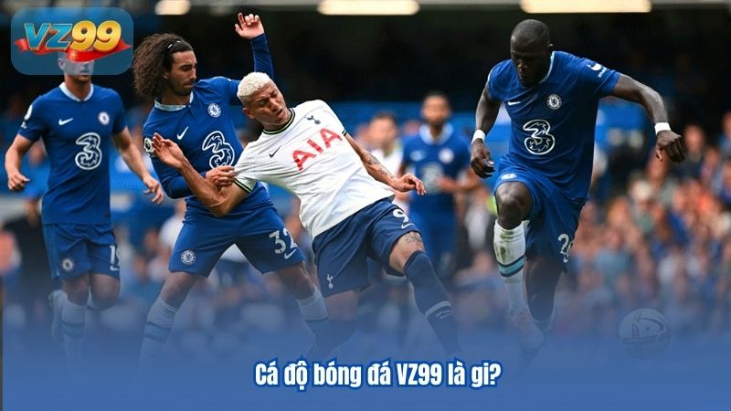 Những thuật ngữ cá độ bóng đá cho game thủ tổng hợp 2 Cá độ bóng đá VZ99 là gi?