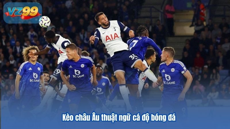 Những thuật ngữ cá độ bóng đá cho game thủ tổng hợp 3 Kèo châu Âu thuật ngữ cá độ bóng đá
