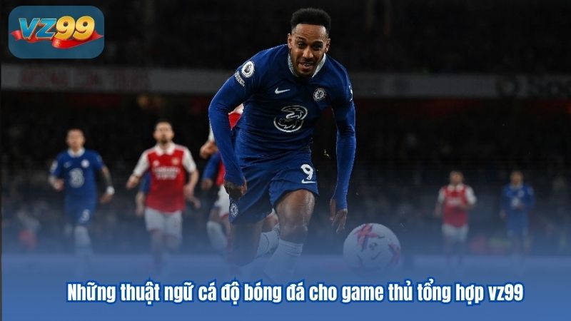 Những thuật ngữ cá độ bóng đá cho game thủ tổng hợp 5 Những thuật ngữ cá độ bóng đá cho game thủ tổng hợp vz99