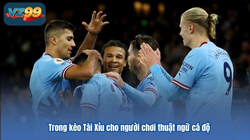 Những thuật ngữ cá độ bóng đá cho game thủ tổng hợp 4 Trong kèo Tài Xỉu cho người chơi thuật ngữ cá độ