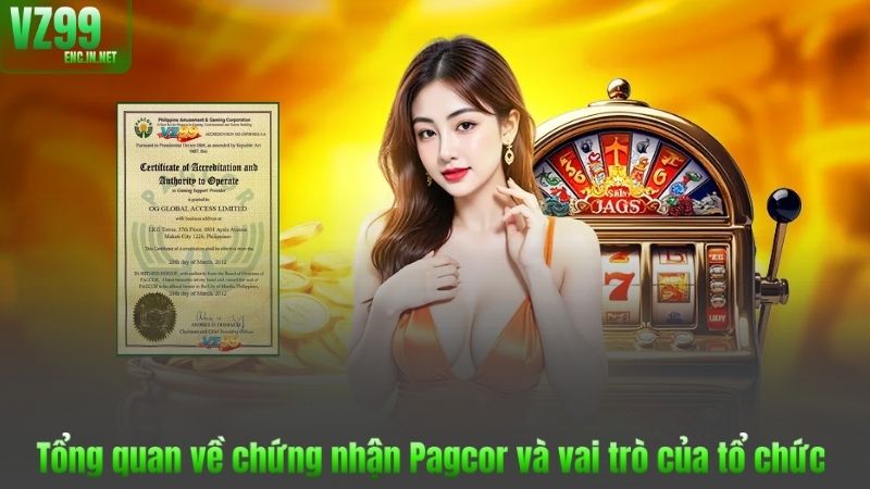 Chứng Nhận Pagcor 1 Tổng quan về chứng nhận Pagcor và vai trò của tổ chức